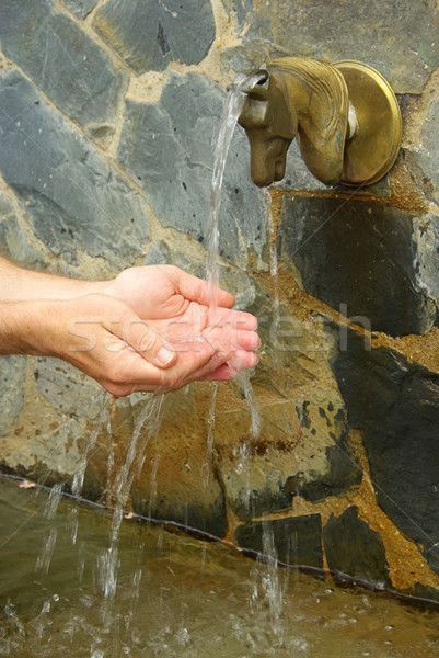 washing hands 01 Stock photo © LianeM