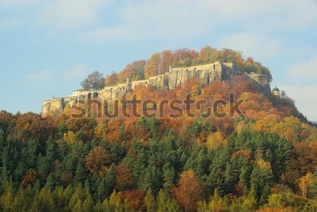 Foresta muro montagna castello montagna autunno Foto d'archivio © LianeM