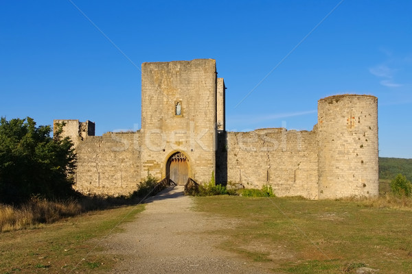 castle Puivert in France Stock photo © LianeM