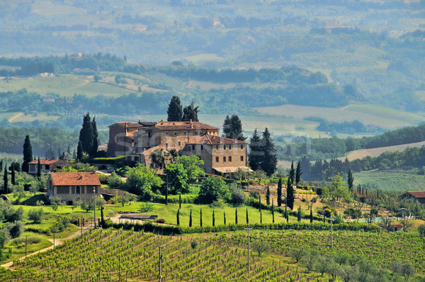 Toscana vigneto panorama campo farm Europa Foto d'archivio © LianeM