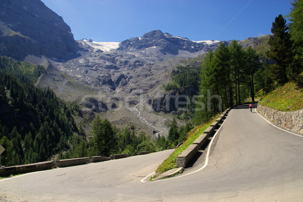 Stelvio Pass 08 Stock photo © LianeM