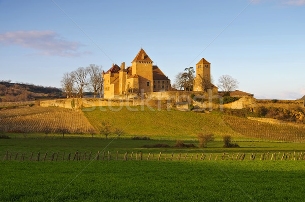 Chateau Pierreclos in France Stock photo © LianeM