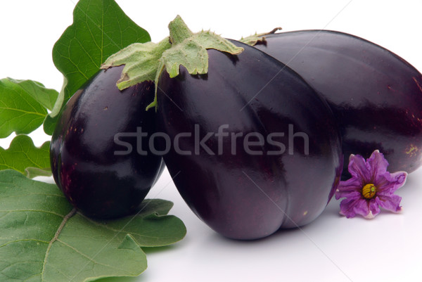 Stock photo: Aubergine 28