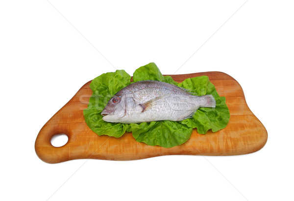 Gilt head bream 14 Stock photo © LianeM