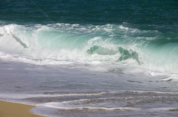 Stock photo: beach with waves 