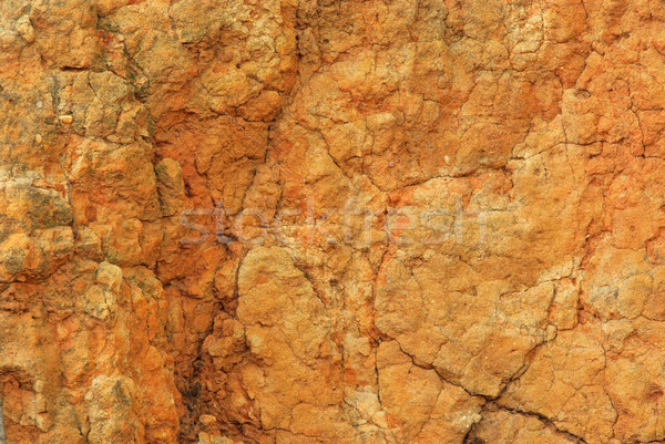 ochre  Stock photo © LianeM