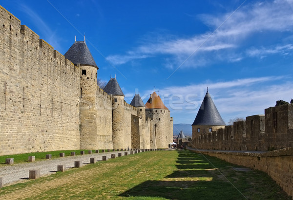 Castle of Carcassonne, France Stock photo © LianeM