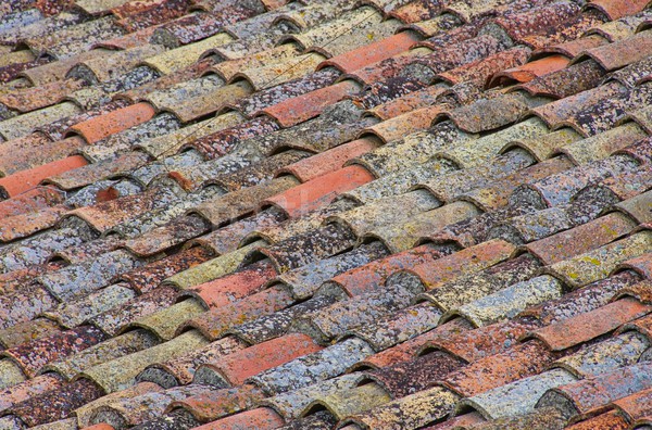 roofing tile 31 Stock photo © LianeM