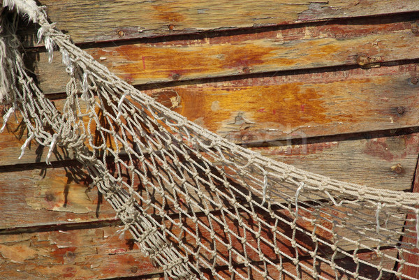 Textura peixe laranja barco navio Foto stock © LianeM
