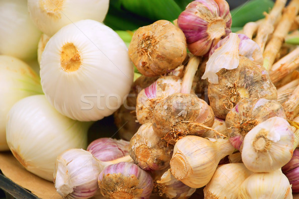 Knoblauch - garlic 04 Stock photo © LianeM