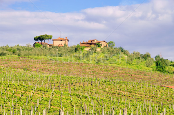 Toskana Weingut - Tuscany vineyard 02 Stock photo © LianeM