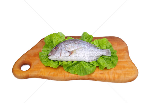 Stock photo: Dorade - Gilt head bream 15