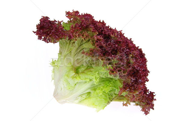 [[stock_photo]]: 16 · feuille · rouge · salade · légumes · fraîches