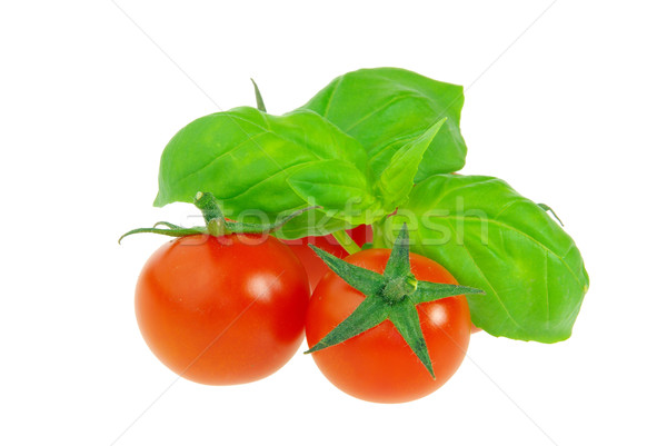 tomato and basil 19 Stock photo © LianeM