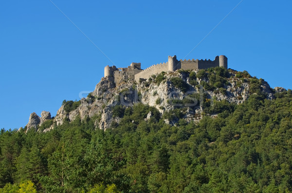 castle Puilaurens in France Stock photo © LianeM