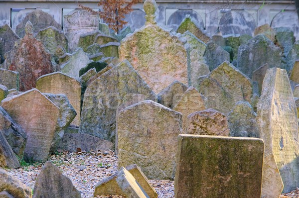 Prag Friedhof traurig Tod Stein tot Stock foto © LianeM