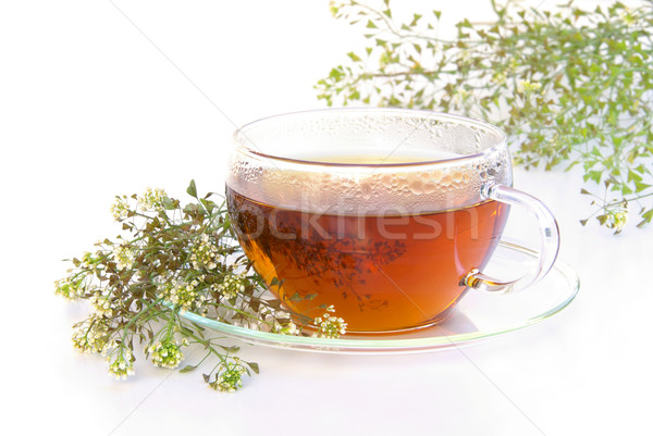  tea yarrow 04 Stock photo © LianeM
