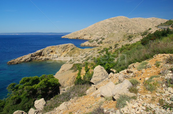 Stara Baska beach  Stock photo © LianeM