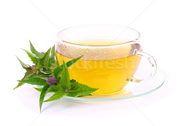 Chá flor vidro beber copo quente Foto stock © LianeM