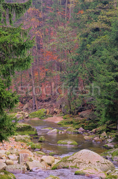 Kochel 01 Stock photo © LianeM