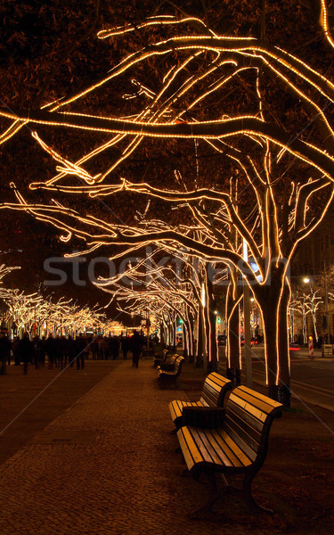 Berlin hárs fák karácsony éjszaka fények Stock fotó © LianeM