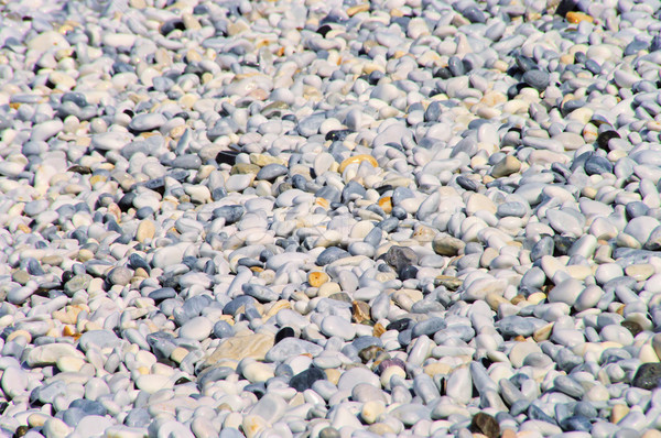 Plaży Toskania tekstury rock kamień Zdjęcia stock © LianeM