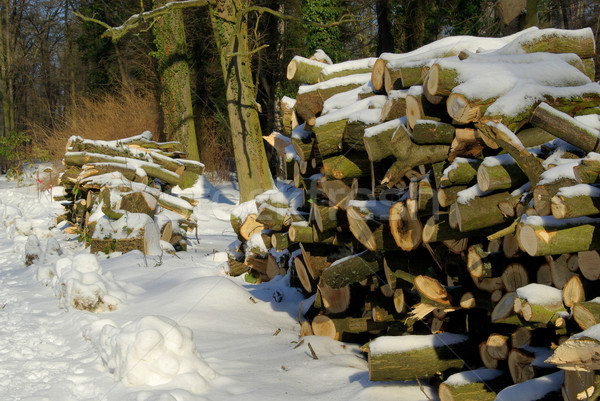 stack of wood in winter 07 Stock photo © LianeM