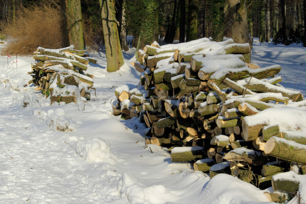 Holzstapel im Winter - stack of wood in winter 05 Stock photo © LianeM