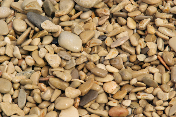 pebble on the beach 41 Stock photo © LianeM