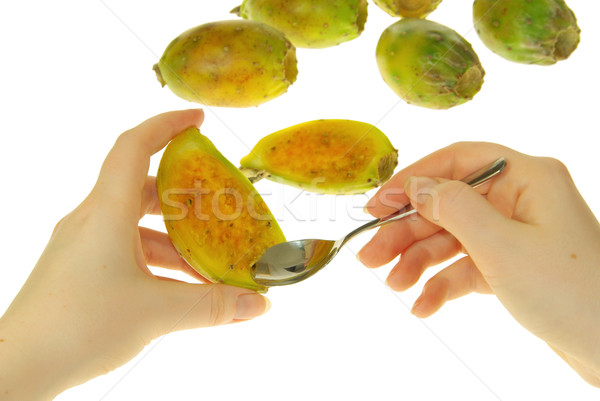 prickly pear 26 Stock photo © LianeM