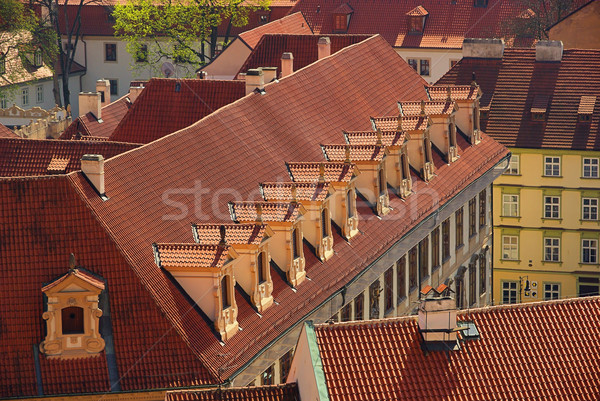 window in roof 03 Stock photo © LianeM