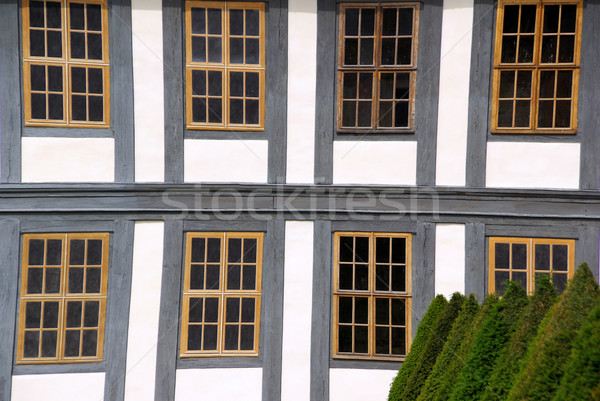 window timber framing 01 Stock photo © LianeM