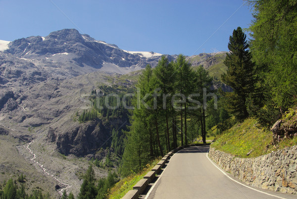 Stelvio Pass 09 Stock photo © LianeM