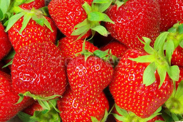 strawberry 1 Stock photo © LianeM