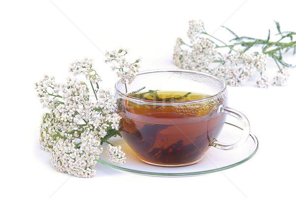 tea yarrow 02 Stock photo © LianeM