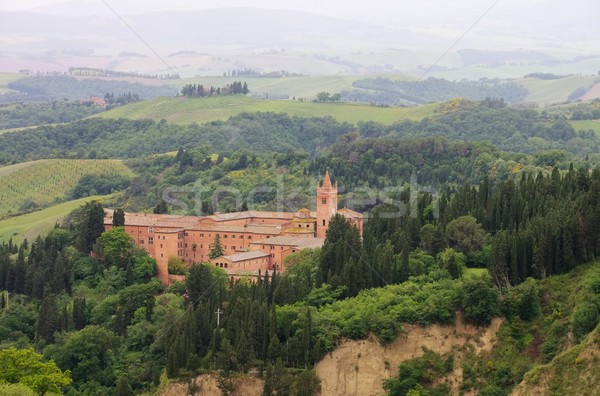 Monte Oliveto  Stock photo © LianeM