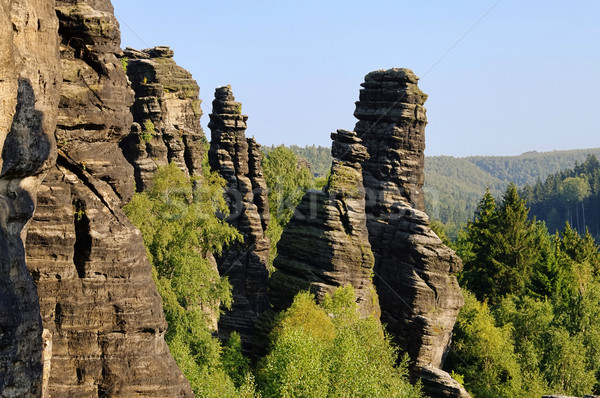 Foto stock: Colunas · árvore · paisagem · tabela · rocha · pedra