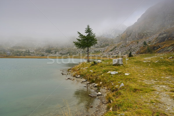 Cornisello lake in Dolomites Stock photo © LianeM