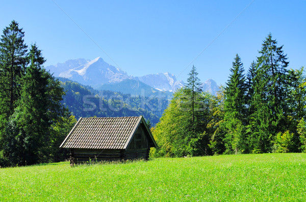 Cielo hierba forestales naturaleza casa verano Foto stock © LianeM