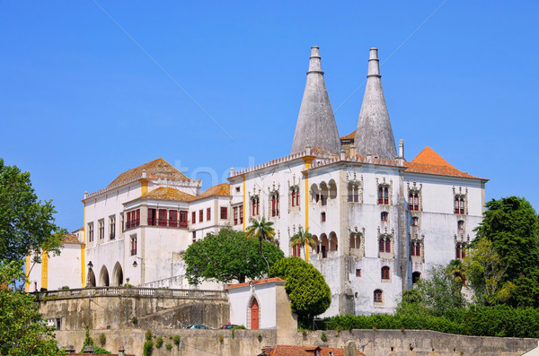 Sintra Palacio Nacional de Sintra 02 Stock photo © LianeM