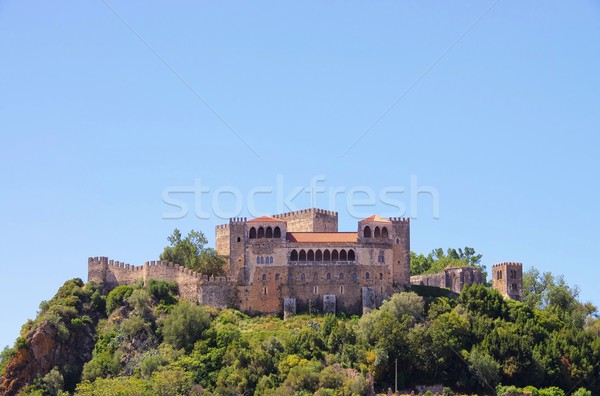 Leiria castle 03 Stock photo © LianeM