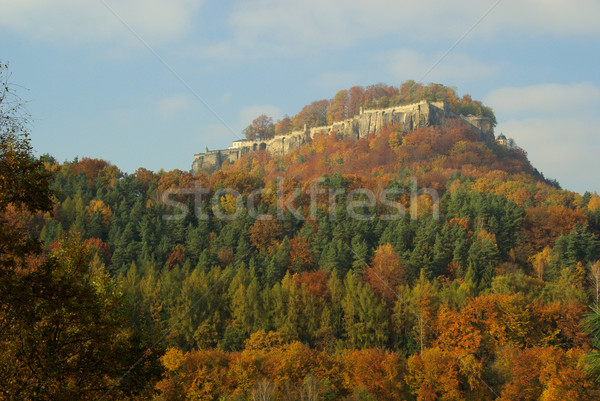 Pădure perete peisaj stâncă munţi piatră Imagine de stoc © LianeM