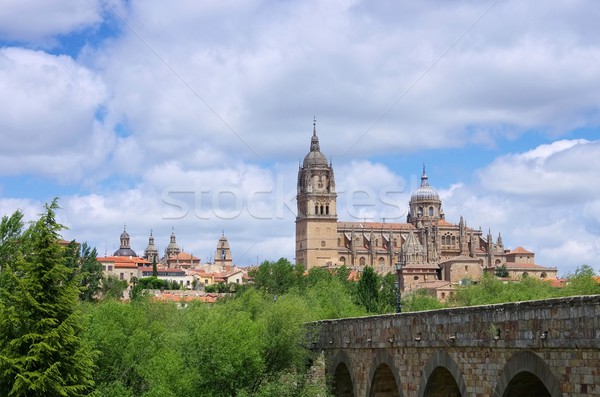 Salamanca cathedral 03 Stock photo © LianeM