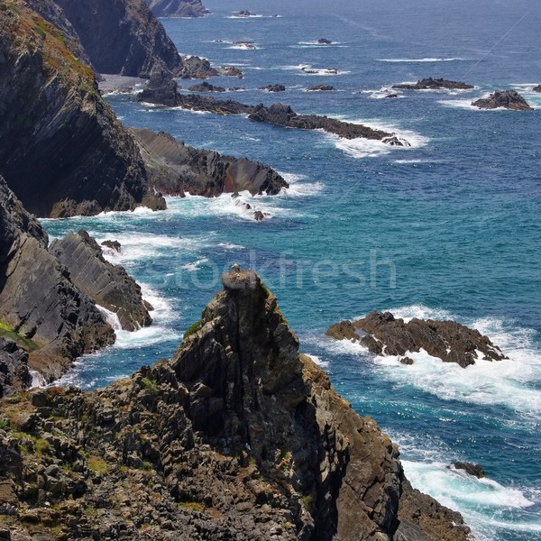 Cabo Sardao coast  Stock photo © LianeM