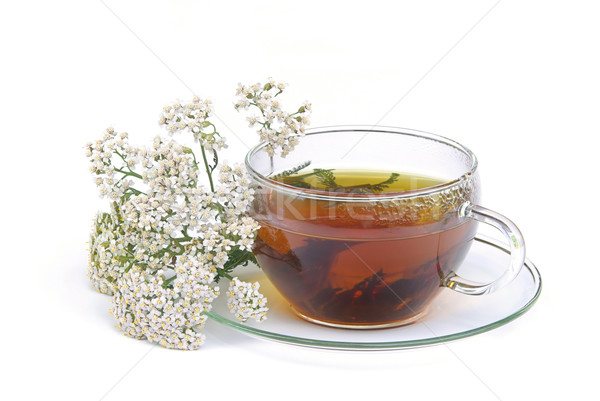 tea yarrow 01 Stock photo © LianeM