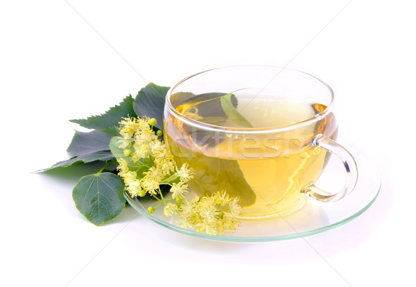 Foto stock: Té · cal · flor · médicos · naturaleza · verde