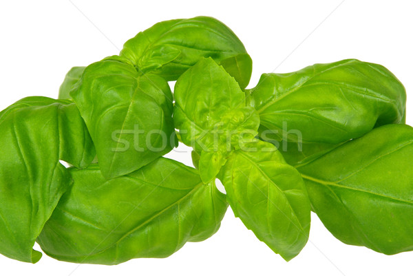 Basilikum - basil 07 Stock photo © LianeM