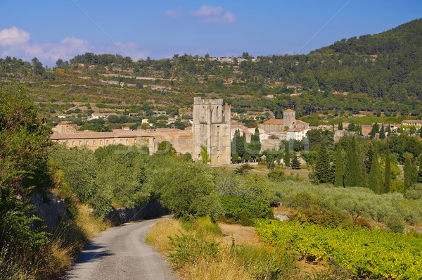 old town Lagrasse in southern France Stock photo © LianeM
