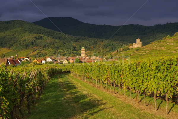 town Kaysersberg in Alsace, France Stock photo © LianeM