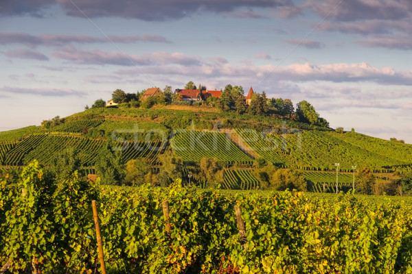 town Zellenberg in Alsace, France Stock photo © LianeM
